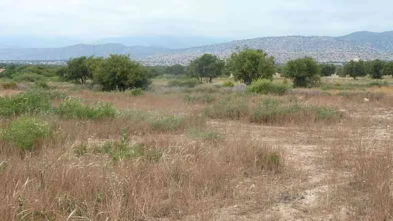 8500 m2 titré à 30 Km de Taroudante - تارودانت (4)