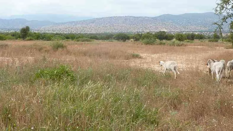 8500 m2 titré à 30 Km de Taroudante - تارودانت (3)