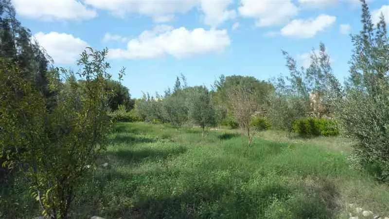 Terrain TITRE 6500m² Avendre à Essaouira - الصويرة
