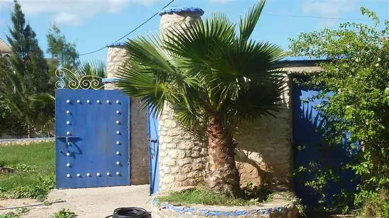 Terrain TITRE 6500m² Avendre à Essaouira - الصويرة (4)