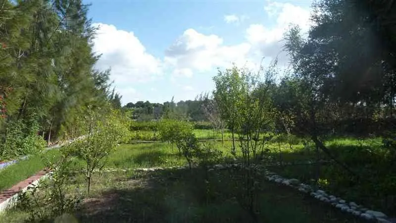 Terrain TITRE 6500m² Avendre à Essaouira - الصويرة (3)