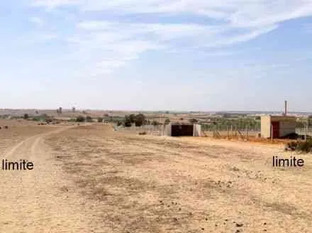 Terrain de 16500 m2 - tifelt (4)