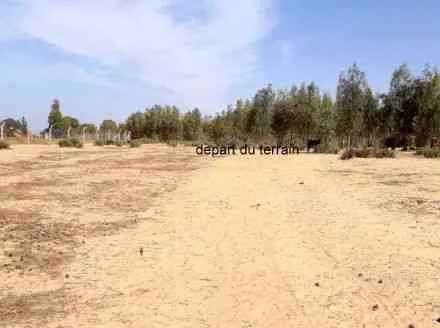 Terrain de 16500 m2 - tifelt (3)