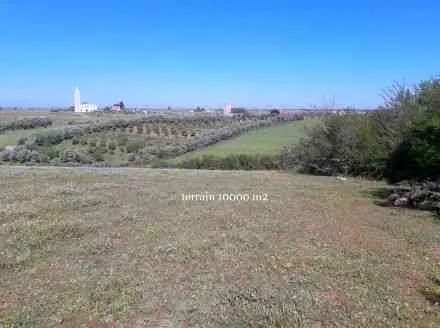 Un terrain agricol de 10000 m2 - tifelt (2)