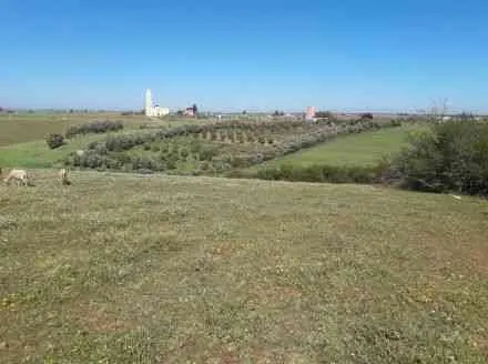 Un terrain agricol de 10000 m2 - tifelt