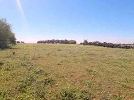 Un terrain agricol de 10000 m2 - tifelt (4)
