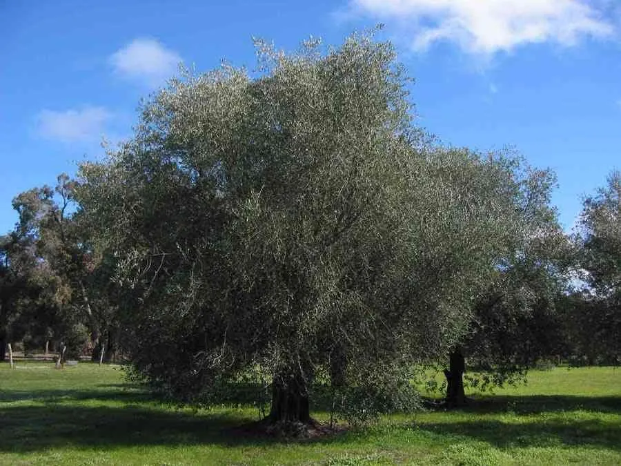 Terrain a vendre - طنجة
