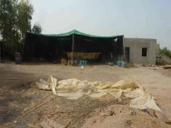 Ferme de 4 hectares TITRE à vendre à Taroudan - تارودانت (2)