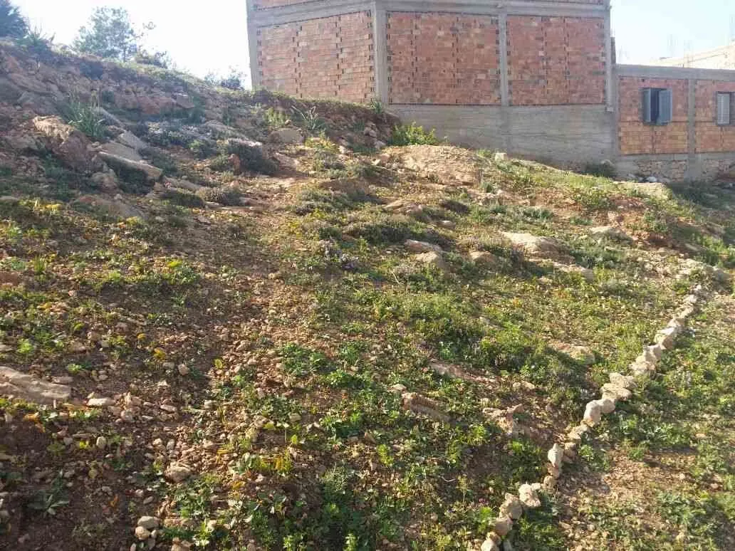 Terrain à vendre EL HOUCEIMA - الحسيمة (2)