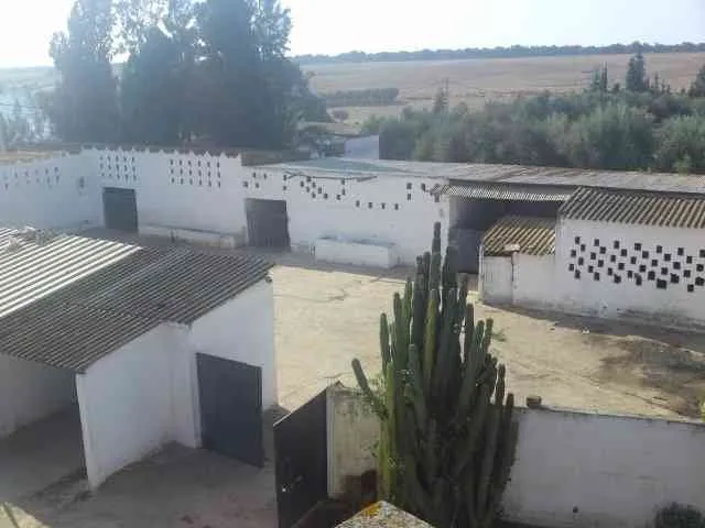 Ferme de 3,5 hectares - طنجة (3)