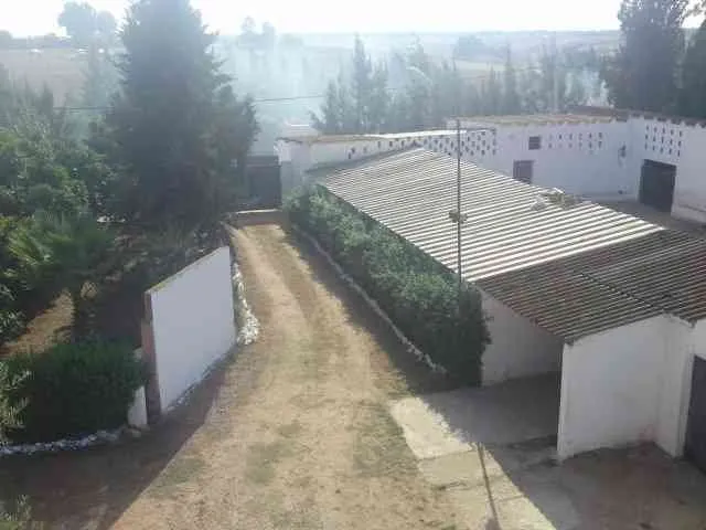 Ferme de 3,5 hectares - طنجة (4)