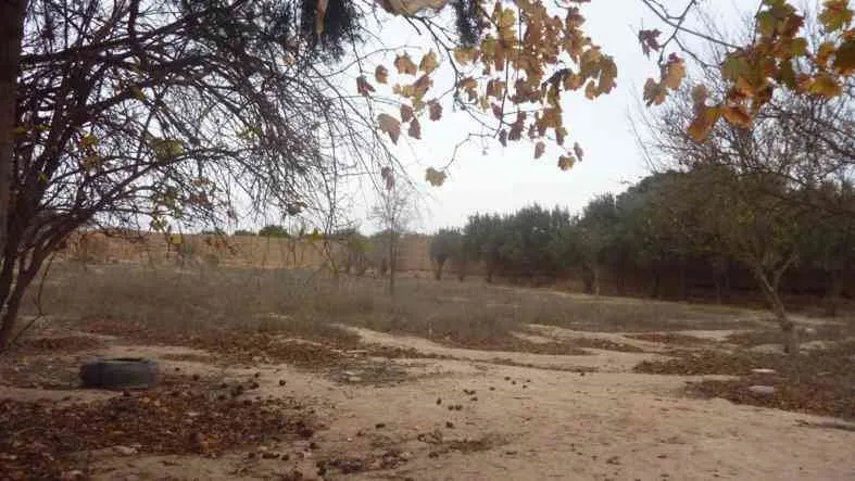 Terrain à vendre à Taroudant - تارودانت