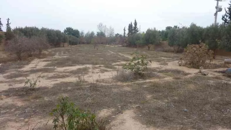 Terrain à vendre à Taroudant - تارودانت (2)