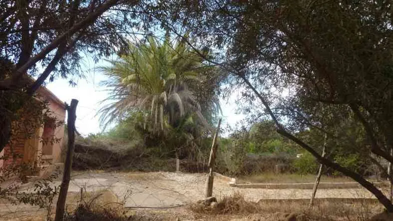 Terrain 9000m² titré avendre à Taroudant - تارودانت (3)