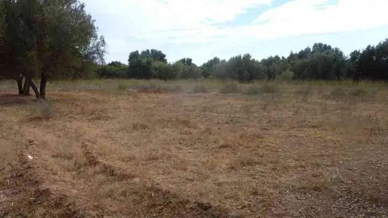 Terrain 9000m² titré avendre à Taroudant - تارودانت