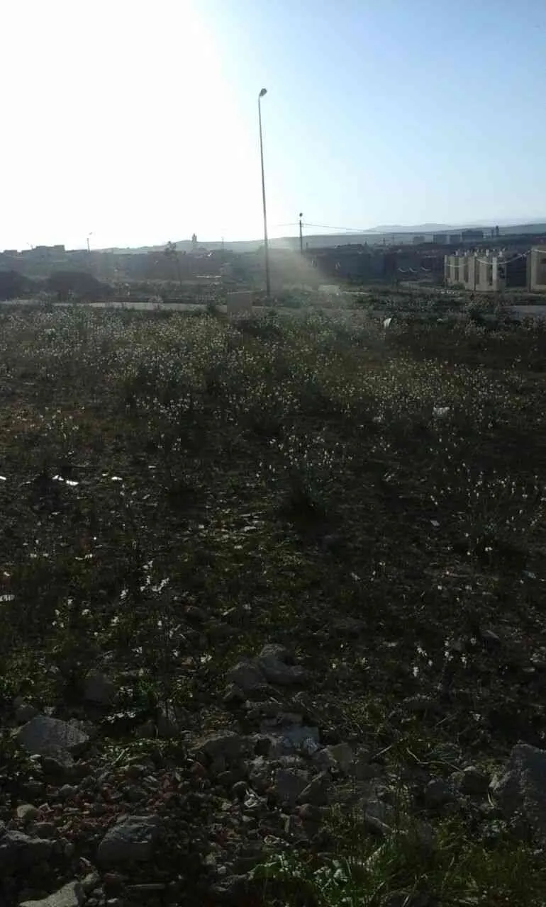 terrain à vendre - طنجة