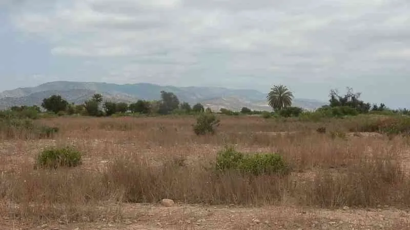 Terrain 8500 m2 a vendre à Taroudant - تارودانت
