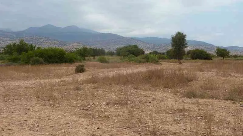 Terrain 8500 m2 a vendre à Taroudant - تارودانت (3)