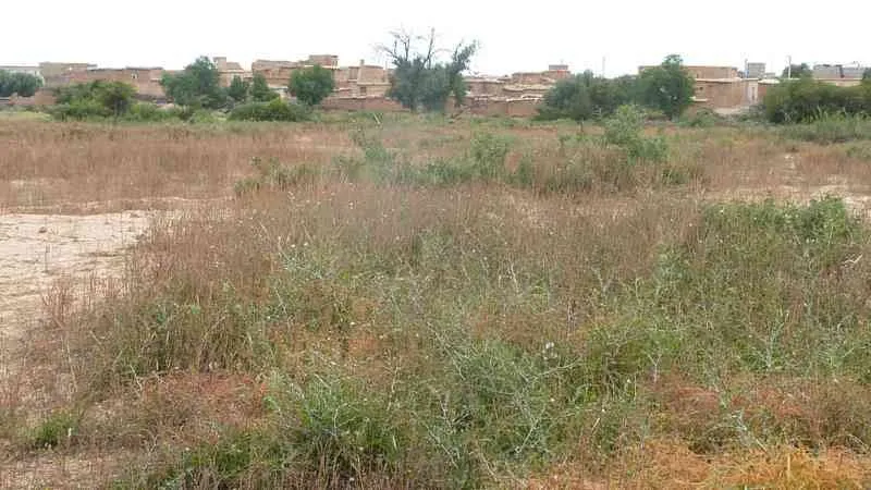 Terrain 8500 m2 a vendre à Taroudant - تارودانت (4)