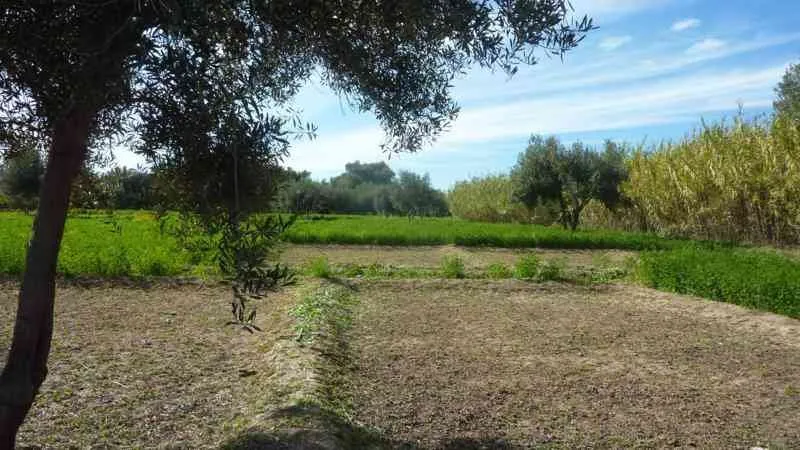 Terrain à vendre à Taroudant - تارودانت (4)