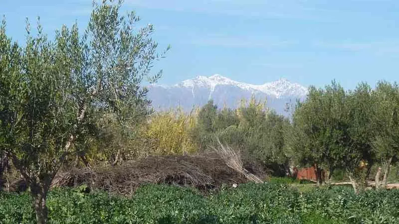 Terrain à vendre à Taroudant - تارودانت