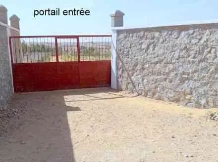 Superbe terrain de 10000 m2 - tifelt