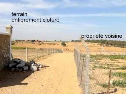 Superbe terrain de 10000 m2 - tifelt (2)