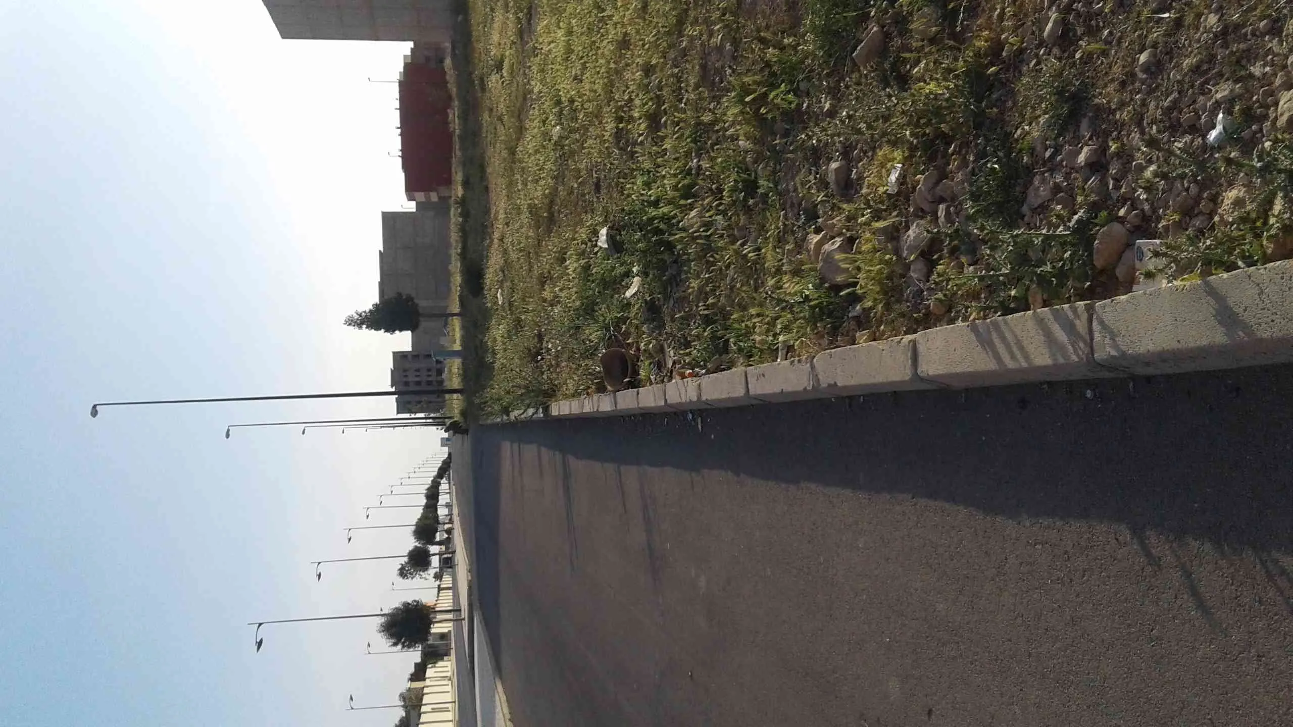 Beau terrain à vendre - وجدة