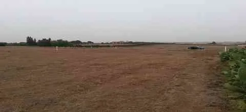 Ferme de 1,5 Hectare à Tilfet - tifelt