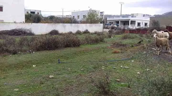 Terrain 470m² - تطوان (3)