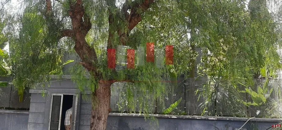 Villa a usage professionnel a oasis de 410 m de surface utile a la location - الدار البيضاء (4)