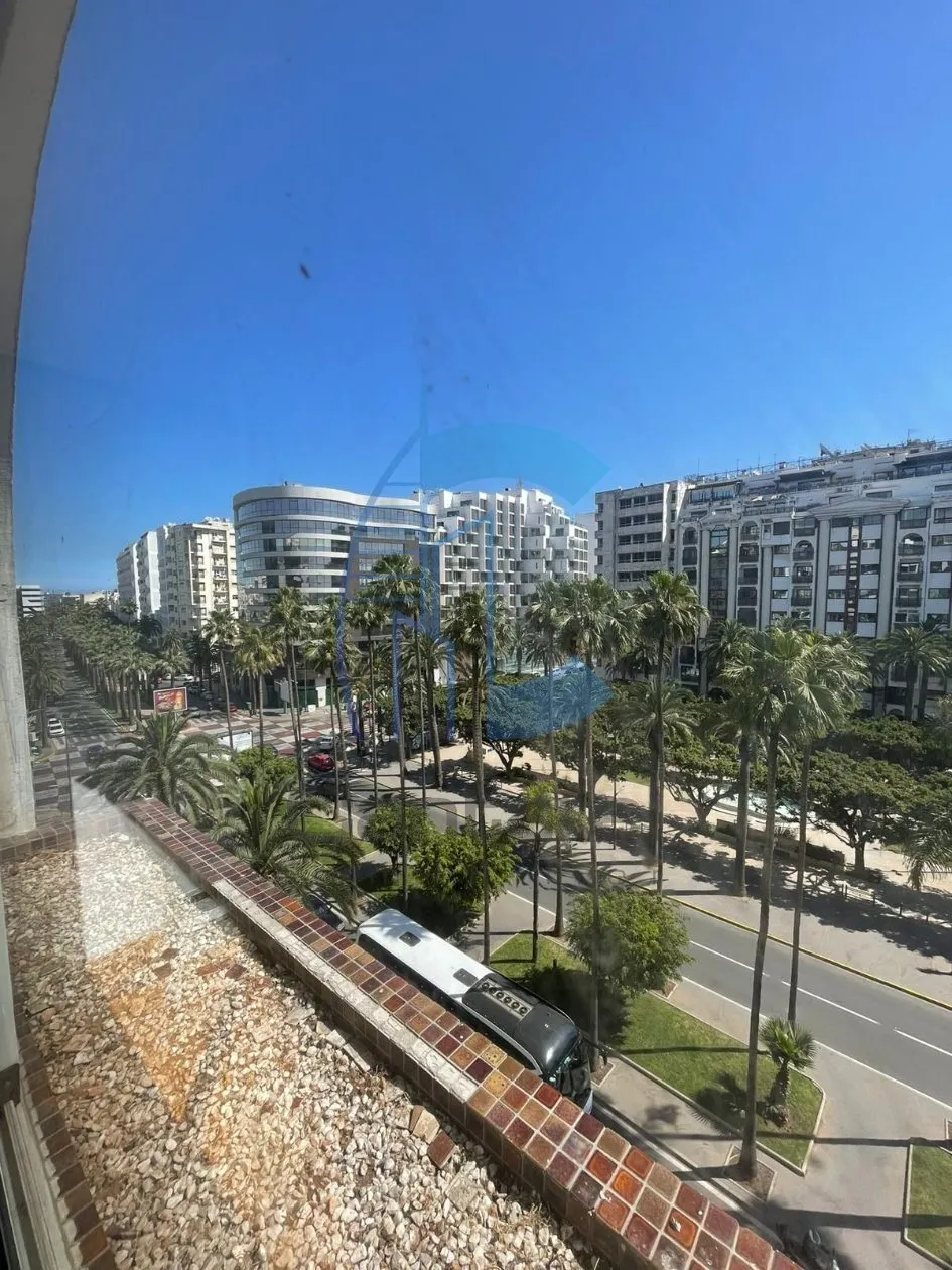 LOCATION SPACIEUX BUREAU ANFA - الدار البيضاء (2)