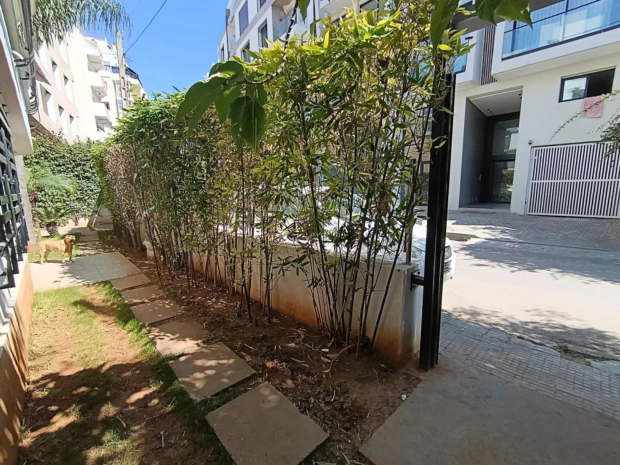Villa professionnelle de 350m2 à la location - Palmier - الدار البيضاء (4)