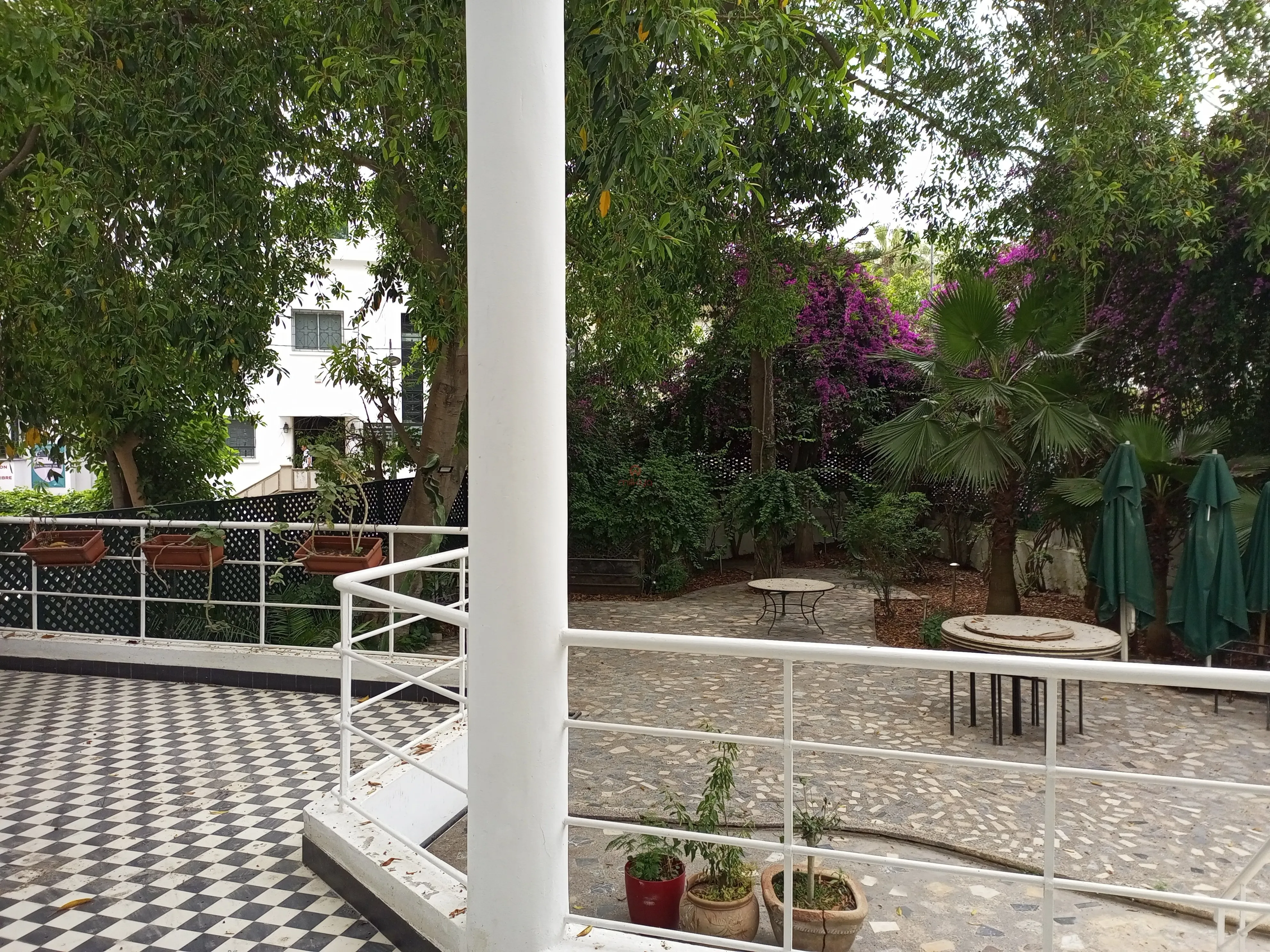 Location Local à Casablanca - الدار البيضاء (4)