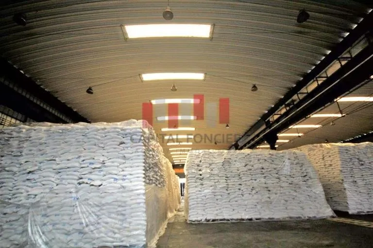 Unité industrielle de 4.800 m2 de surface couverte a la location au sein d un parc industriel a ain sebaa sidi bernoussi idéal pour stockage ou production - الدار البيضاء (3)