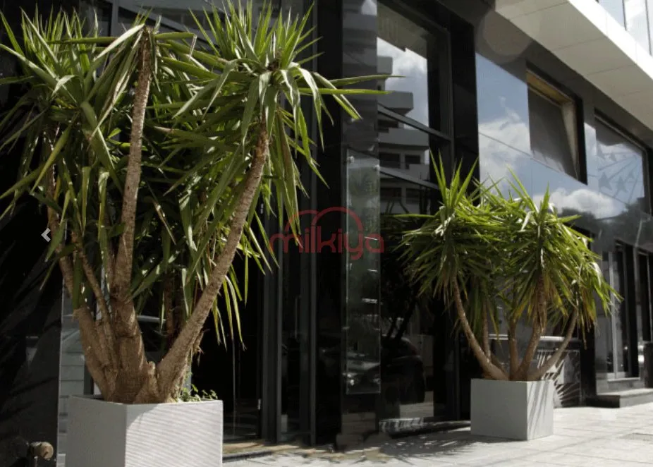 Location Bureau à Casablanca - الدار البيضاء (2)