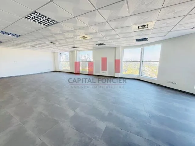 DERNIER ETAGE VUE PARC.. - الدار البيضاء (2)