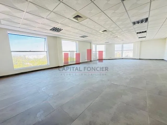 DERNIER ETAGE VUE PARC.. - الدار البيضاء (3)