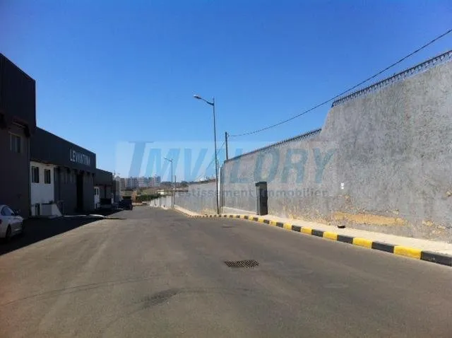 A louer entrepôt dans une zone logistique 2300 - الدار البيضاء