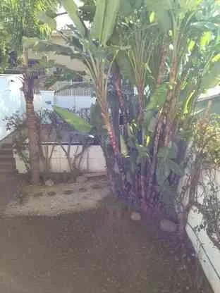 Villa à usage commercial à louer située dans le Haut Agdal - فاس (2)