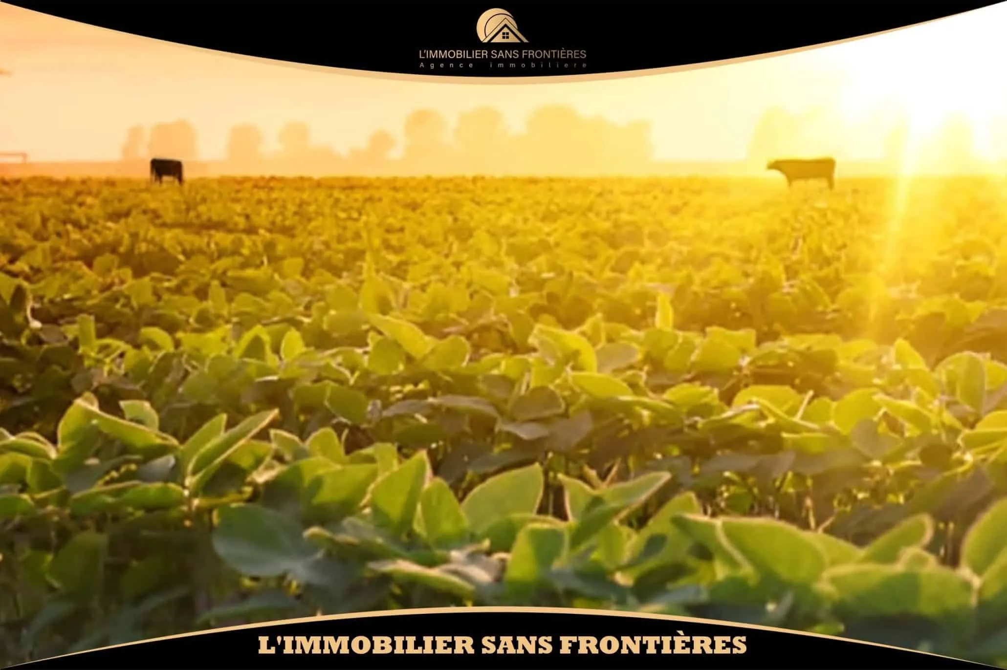 Ferme agricole titrée à Route de Fès, Puits + Bassin, Marrakech : à vendre - مراكش