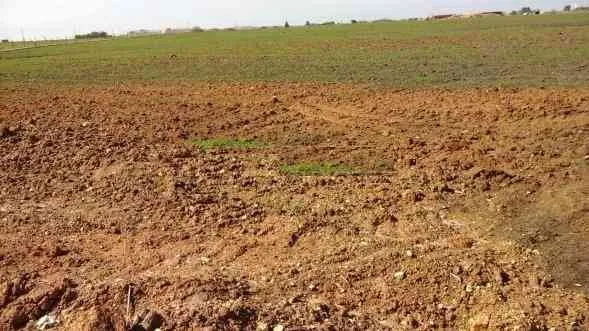 Terrain agricole milkiya moha 4000 m2 à Benslimane - مراكش