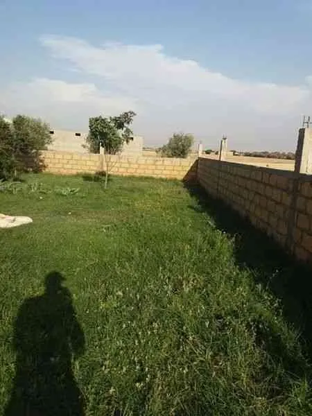 ferme a vendre - برشيد (2)