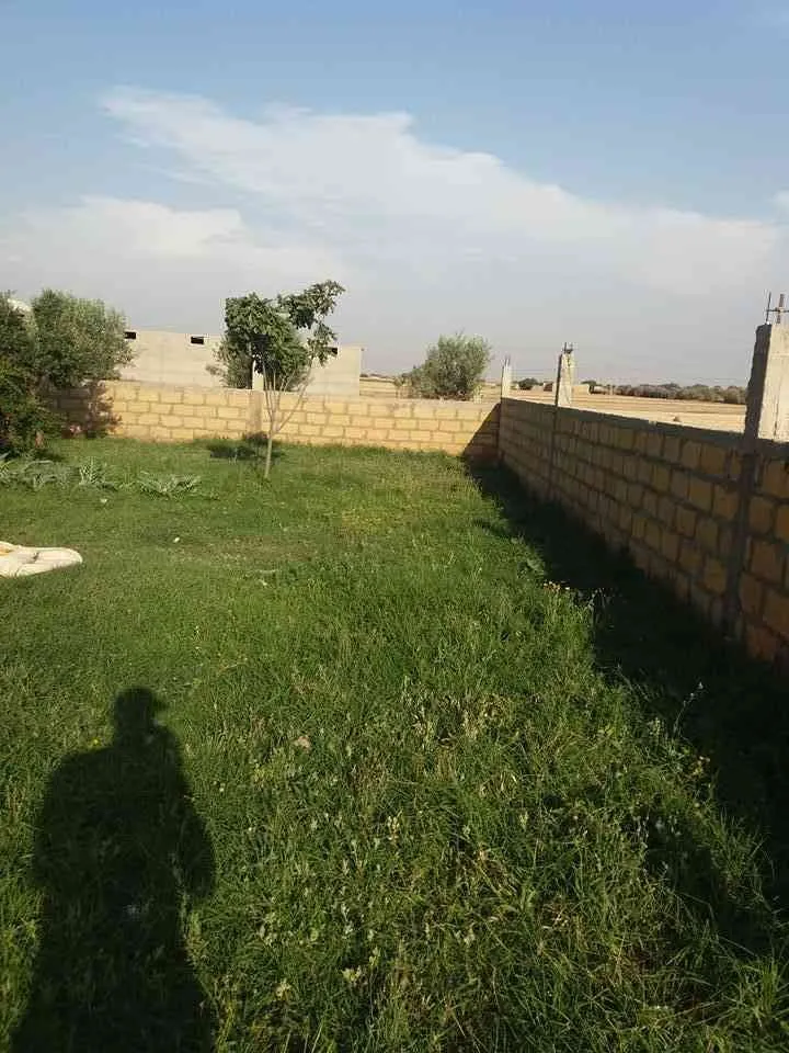 ferme a vendre - برشيد (2)
