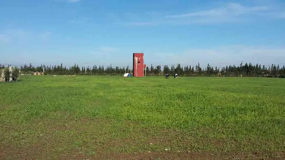ferme a vendre - برشيد (3)