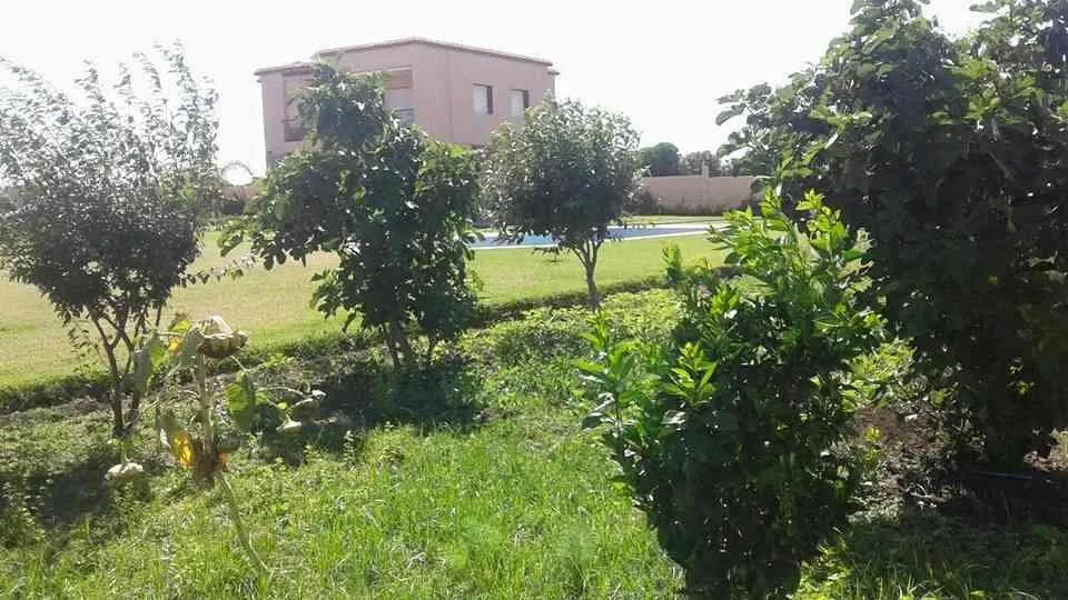 مزرعة للبيع في ناحية مدينة برشيد - طنجة (3)