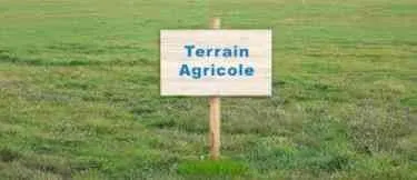 Terrain agricole 1ha à Tiflet - tifelt