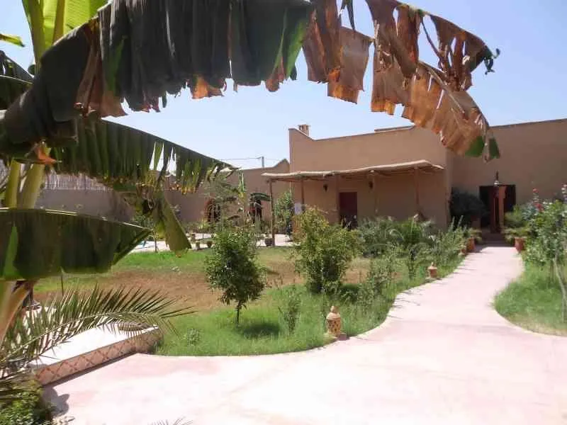 Superbe Propriétée de 1000m2 avec 7 chambres - تارودانت (3)