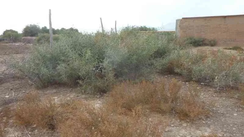 Maison à vendre à Agadir (zone rurale) - مراكش (3)