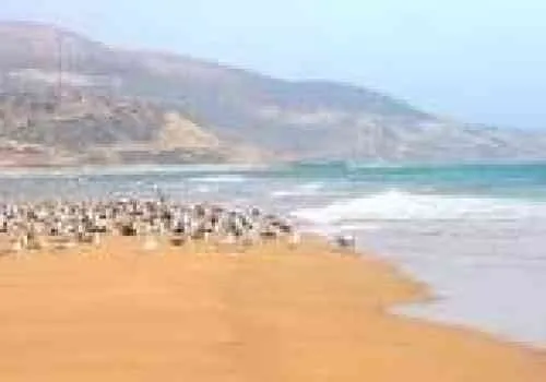 villa a vendre - أكادير